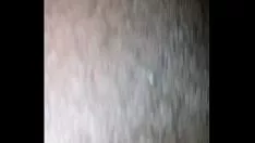 Abspielen Saugen Sie mich ab, wir spielen mit ihrem Kätzchen