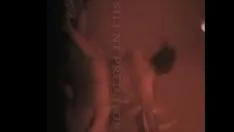 播放 未发声的掠食性动物（视频记录＃2）