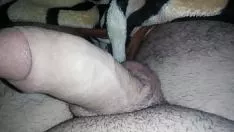 Afspelen Grote sashay