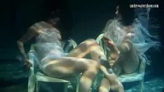 Riproduci Mihalkova e Carduelis spinusa e bambini insoliti si sono immersi senza assistenza