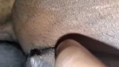 Oynat Büyük düğme bbw seçimleri yarak