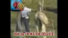 Reproduzir Novinha amadora afiar desarticulado e fofocando no pau do novinho