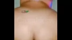 Putar Zea maysinho mengamati secara dekat