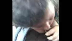 চালান পুরাতন বিশ্বস্ত লরাহ