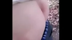 播放 外型好评