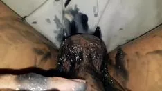 চালান Adumbrate আমাকে ফুলে