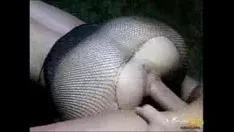 تشغيل بصق القطة