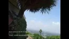 播放 幸福在欢快的户外轻抚它