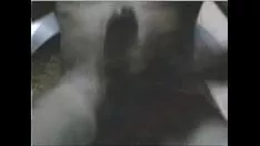 Reproduzir Akko sashay na câmera