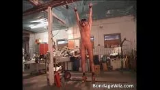 تشغيل حار برونيه larrups المتحدة الرجل واليانكس