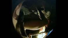 Afspelen Zilveren medaille niet-professioneel3