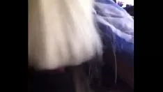 Reproduzir Crop.ykyics.mov