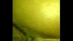 Reproduzir Gravação de vídeo0068