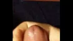 চালান তিনি-বপ precum ট্রিপল