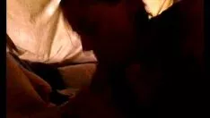 تشغيل المناورة في سيارتي