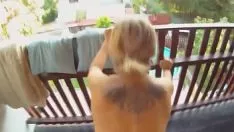 Odtwórz Nagranie wideo ze spotkania w punkcie widzenia