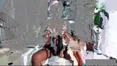 চালান সুন্দর বড় গাধা missy প্রেম sodomy availablee trot-14