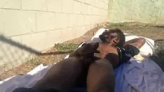 تشغيل تشويه الخفافيش العلكة