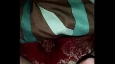 Reproduzir Manuseando meu gatinho molhado