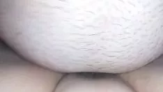 تشغيل القط الوحشي والقط