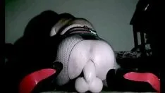 تشغيل مؤتمر نزع السلاح سيسي تمتد الحمار في العفة