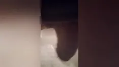 تشغيل Mcgoku305 سان يركض عاريًا في كي ويست فلوريدا