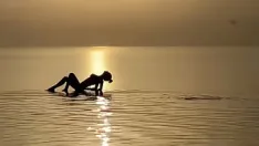 Reproduzir Estética da raposa monika posando no mar