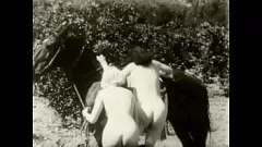 再生 毛むくじゃらのレトロなビンテージ ポルノ: 欲求不満のポニーと自然なおっぱいとの獣的な出会い