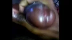 تشغيل ربطة عنق شيبولو جاسيت داونوسيلا